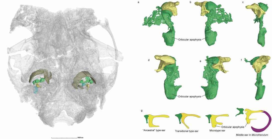 远古时代人类发现的神秘文明,远古时期发现人类