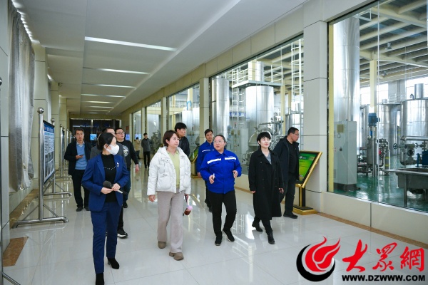 西王集团发展,西王集团玉米产业链项目