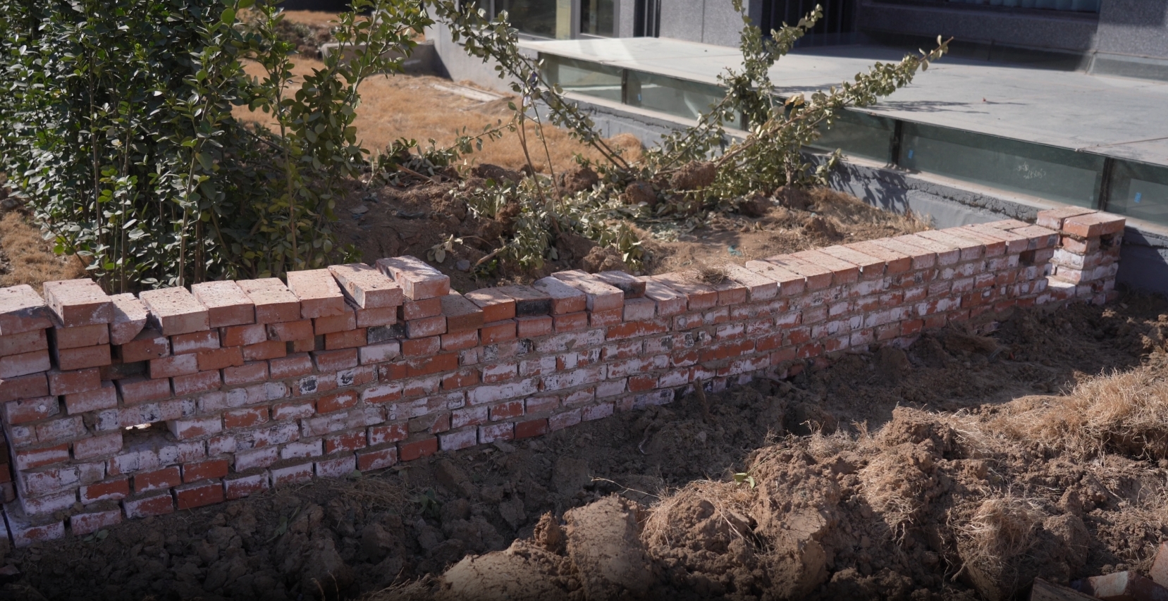 安阳一小区业主一楼建小院？官方回应：“无规划，已协商拆除”