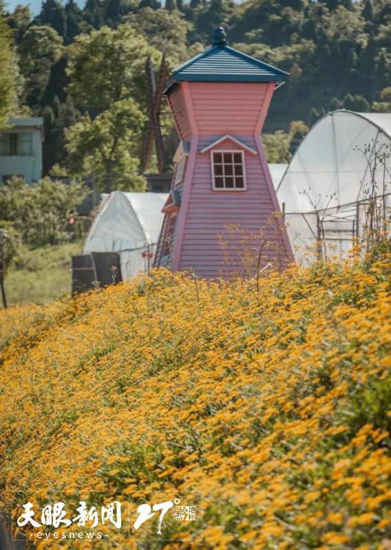 从农家乐到精品民宿,从农家乐到乡村旅游综合体