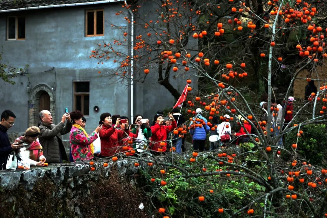 福建屏南乡村文创振兴有力量,宁德屏南文创让古村再现芳华
