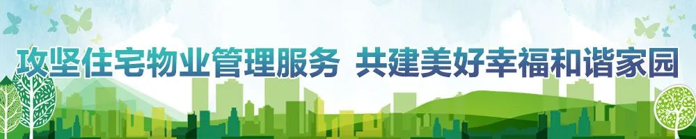 项目变企业的“至美速度”