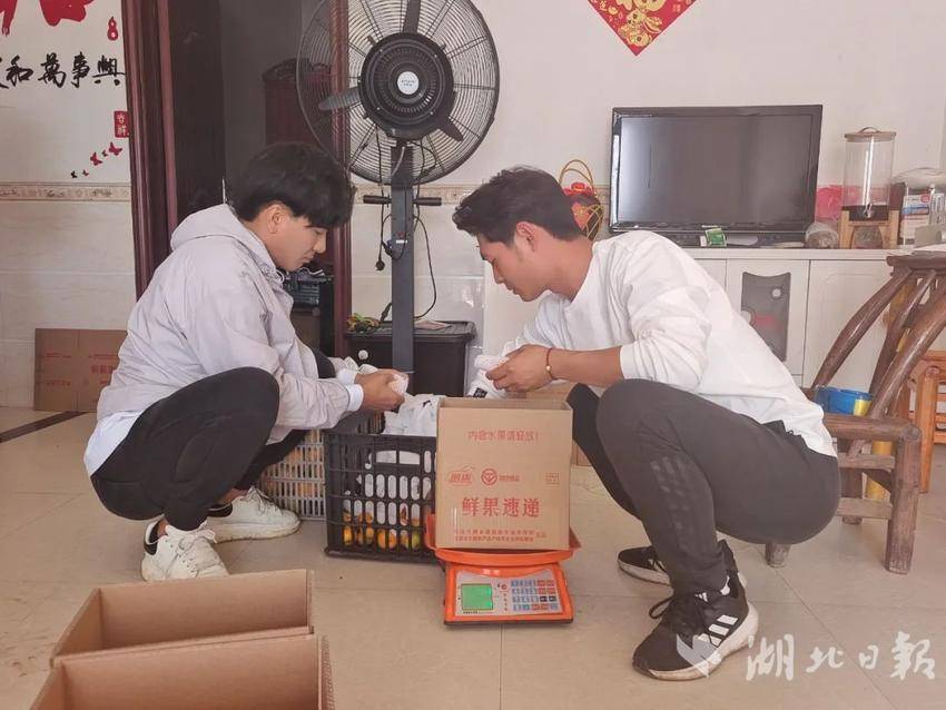 松滋：从上海滩到新桥湾，“城乡兄弟”带农产品“出圈”