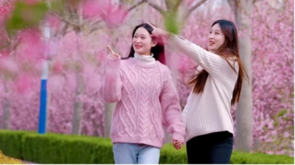 西平县风景区有哪些,西平县风景名胜