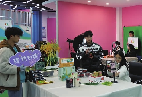 益阳职院产业园,益阳职业技术学院电商产业园