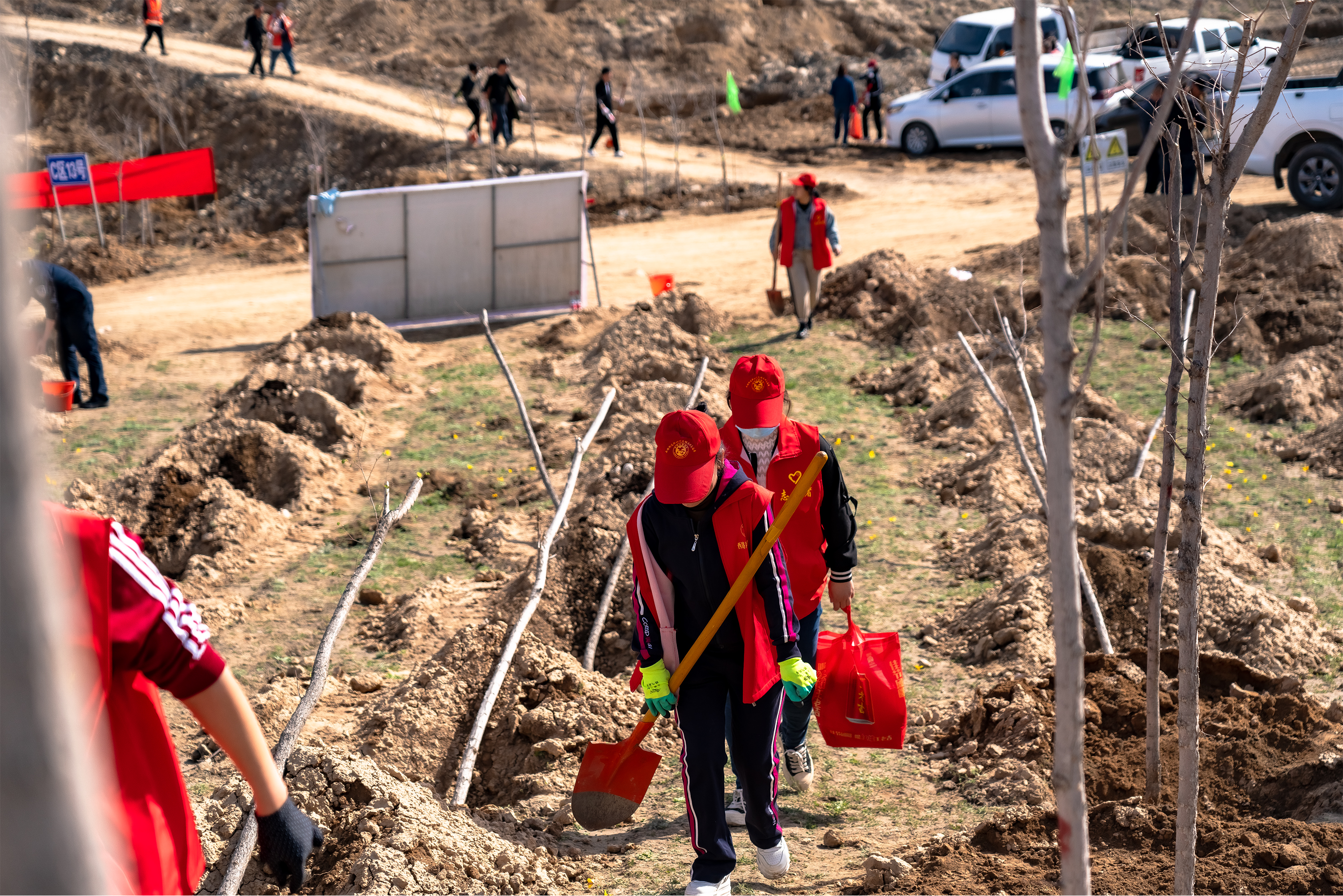 春季植绿正当时米东区再添380亩新绿