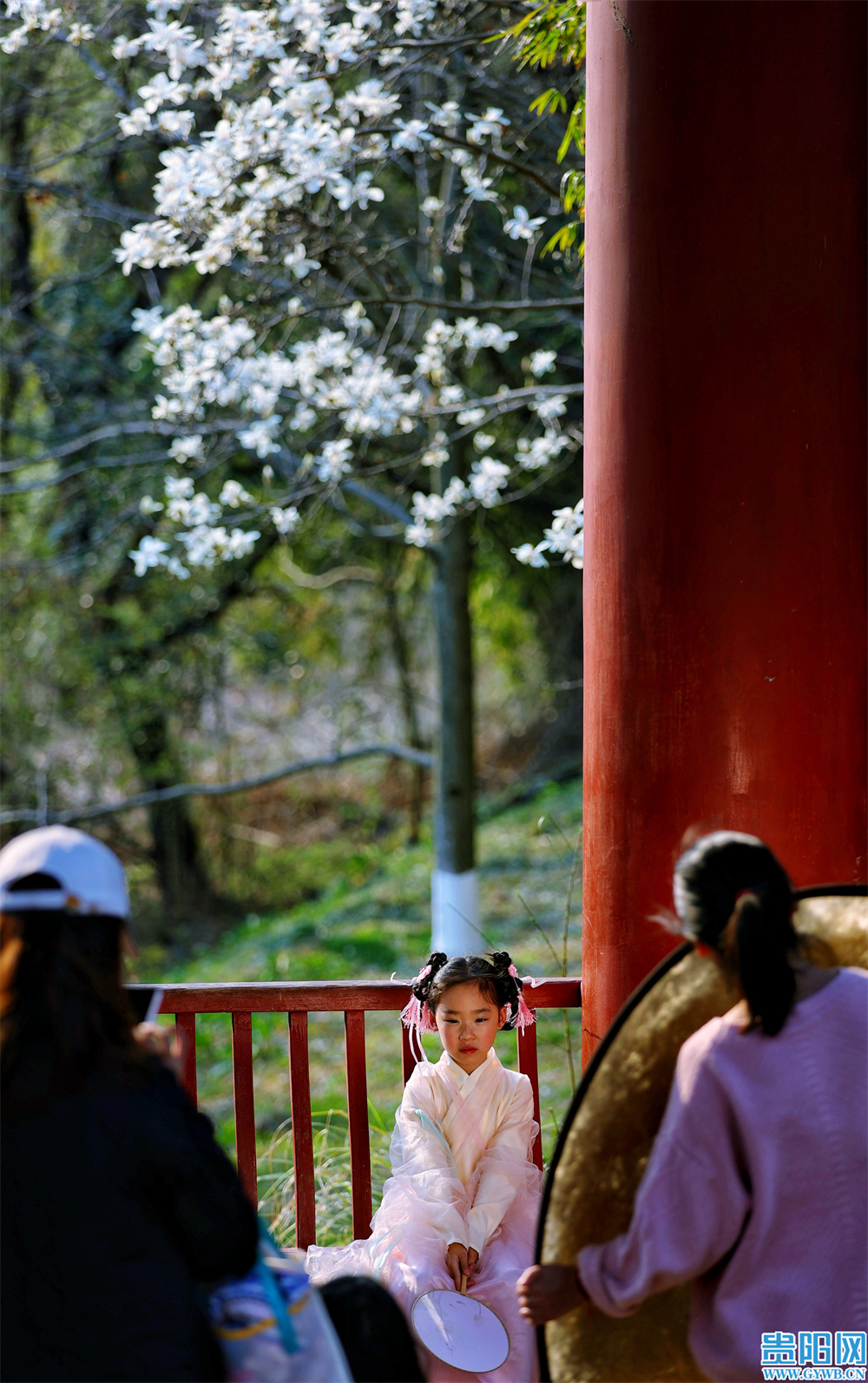 繁花盛开，属于贵阳的初春壁纸来啦