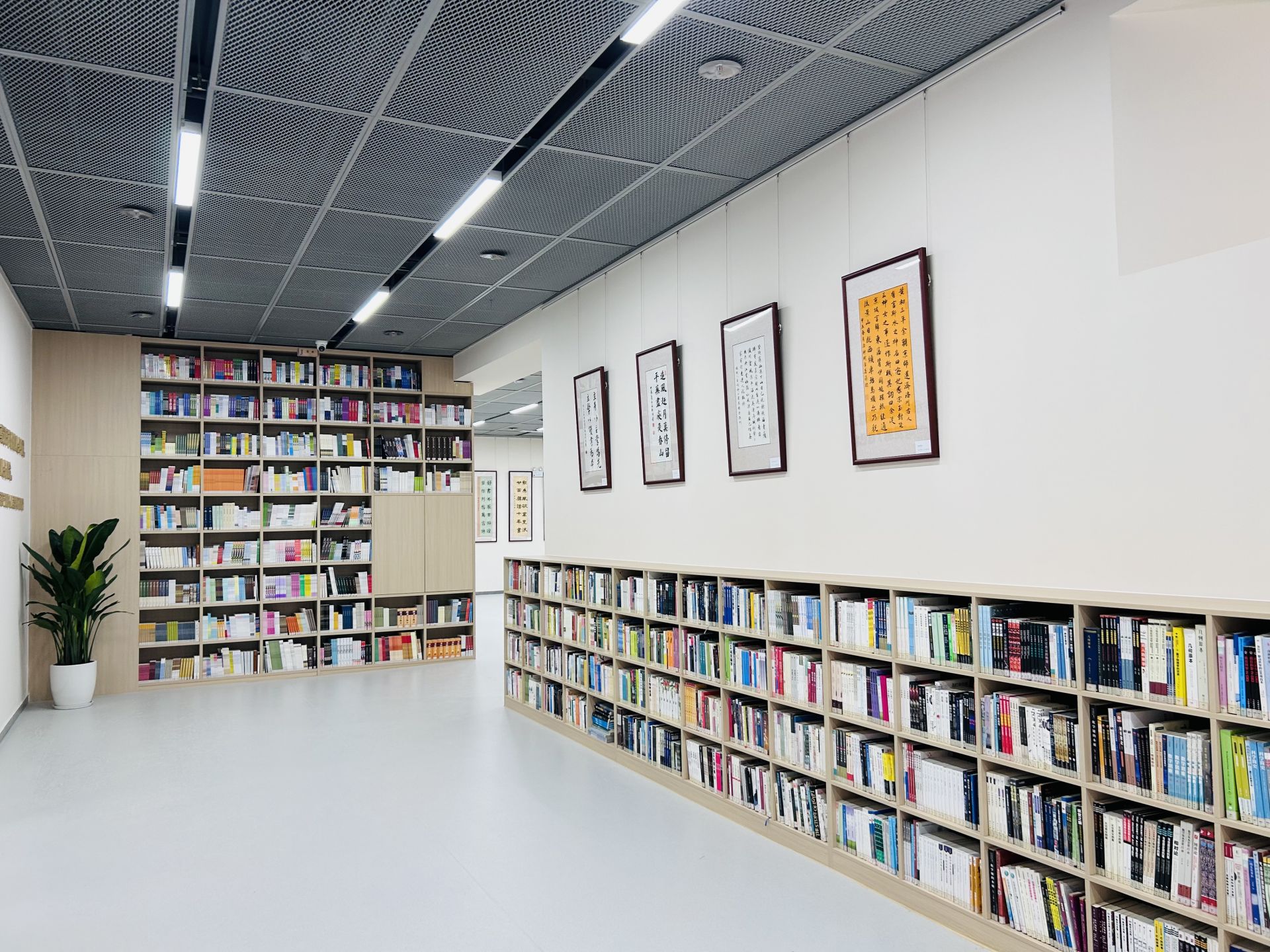 一座美好的图书馆应该是怎样的？南外高中图书馆新馆给出了答案