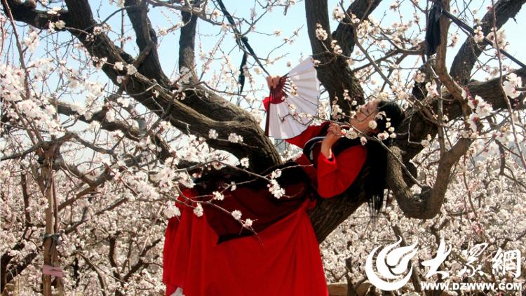山东水泊梁山景区春景,水泊梁山春景