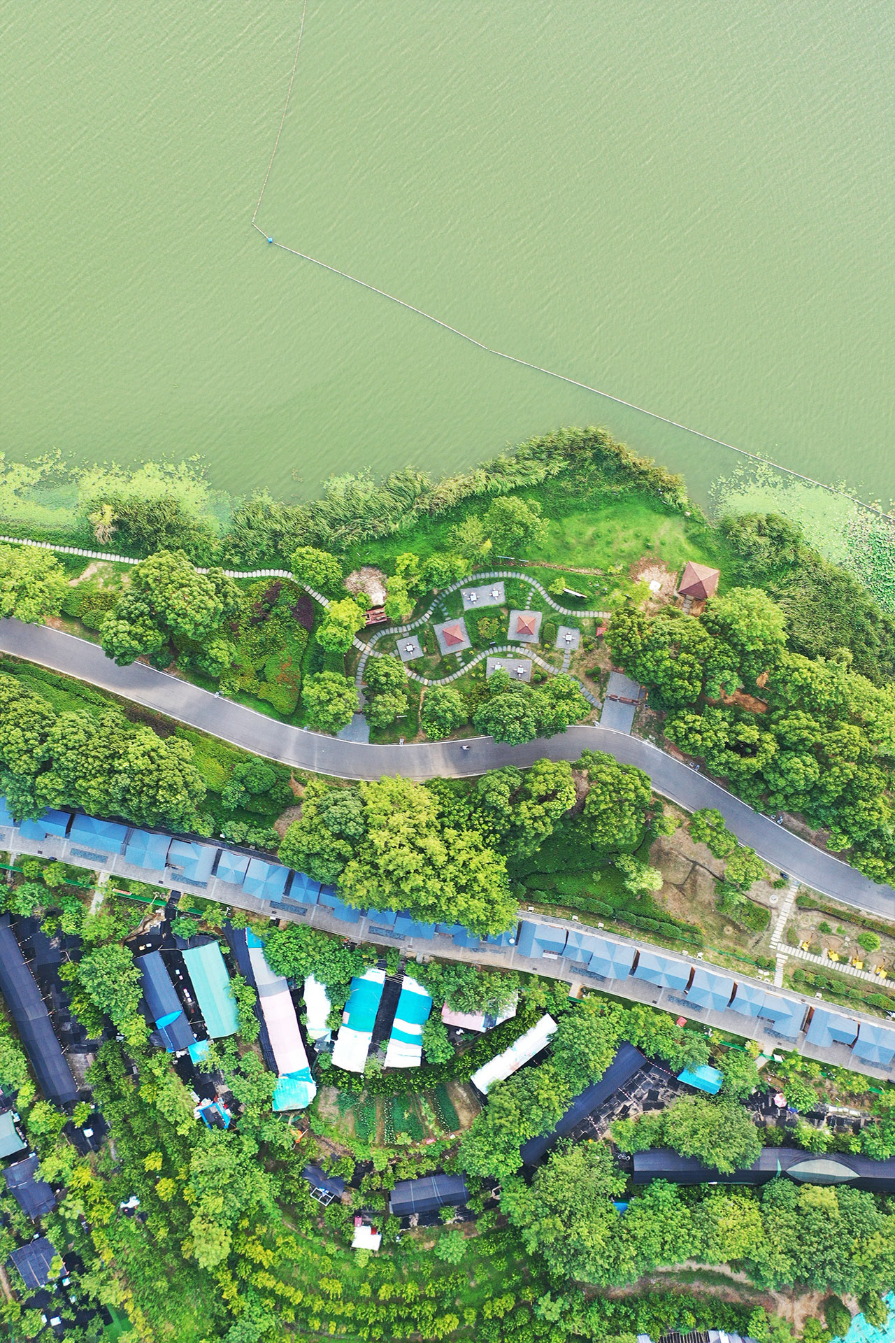 武汉蔡甸五贤路后官湖湿地公园,武汉后官湖湿地公园免费