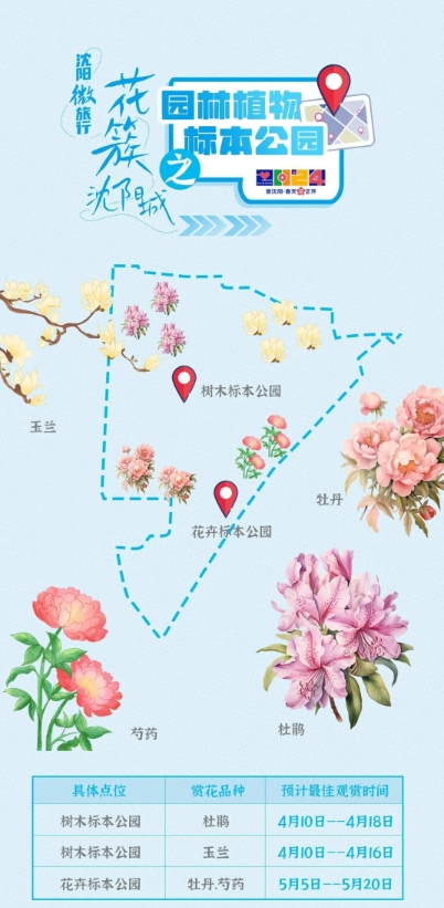 沈阳樱花拍照打卡,沈阳赏花打卡地