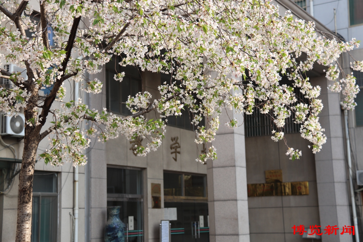 深读淄博︱老年大学“一位难求”“课程秒光”的背后让这届“银发人”精神富有，路还有多长