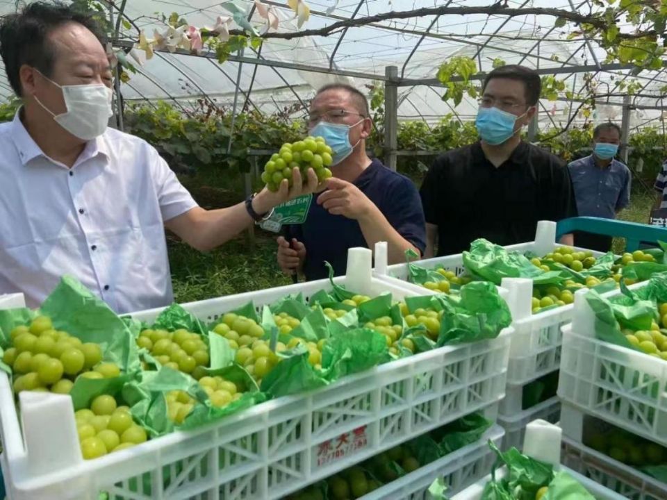 国内外特色农产品供销模式,供销社如何做好特色产业