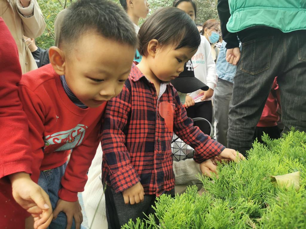 开启植物王国探究之旅！北岭山森林公园打造集教育科普、农耕体验、手工制作等于一体的综合教育基地