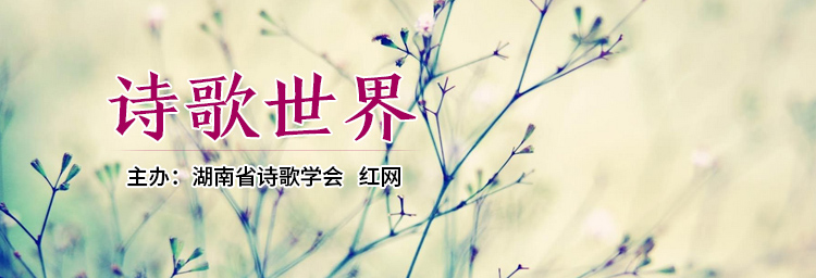 诗歌世界丨秋月：一曲梵音敲打青翠的脉络，尘世里风干成唐诗宋词的韵律