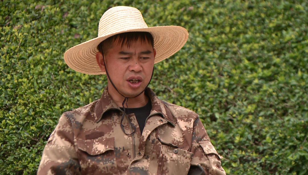 产值1亿元左右的农业企业,产值1亿的产业