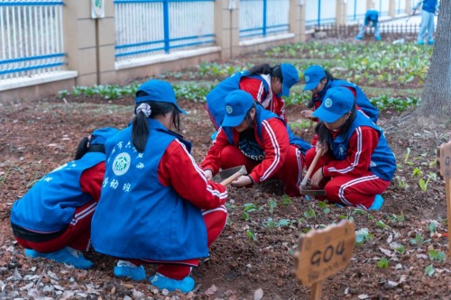 观摩交流促提升，六郎中学“校园开放日”展智慧新风