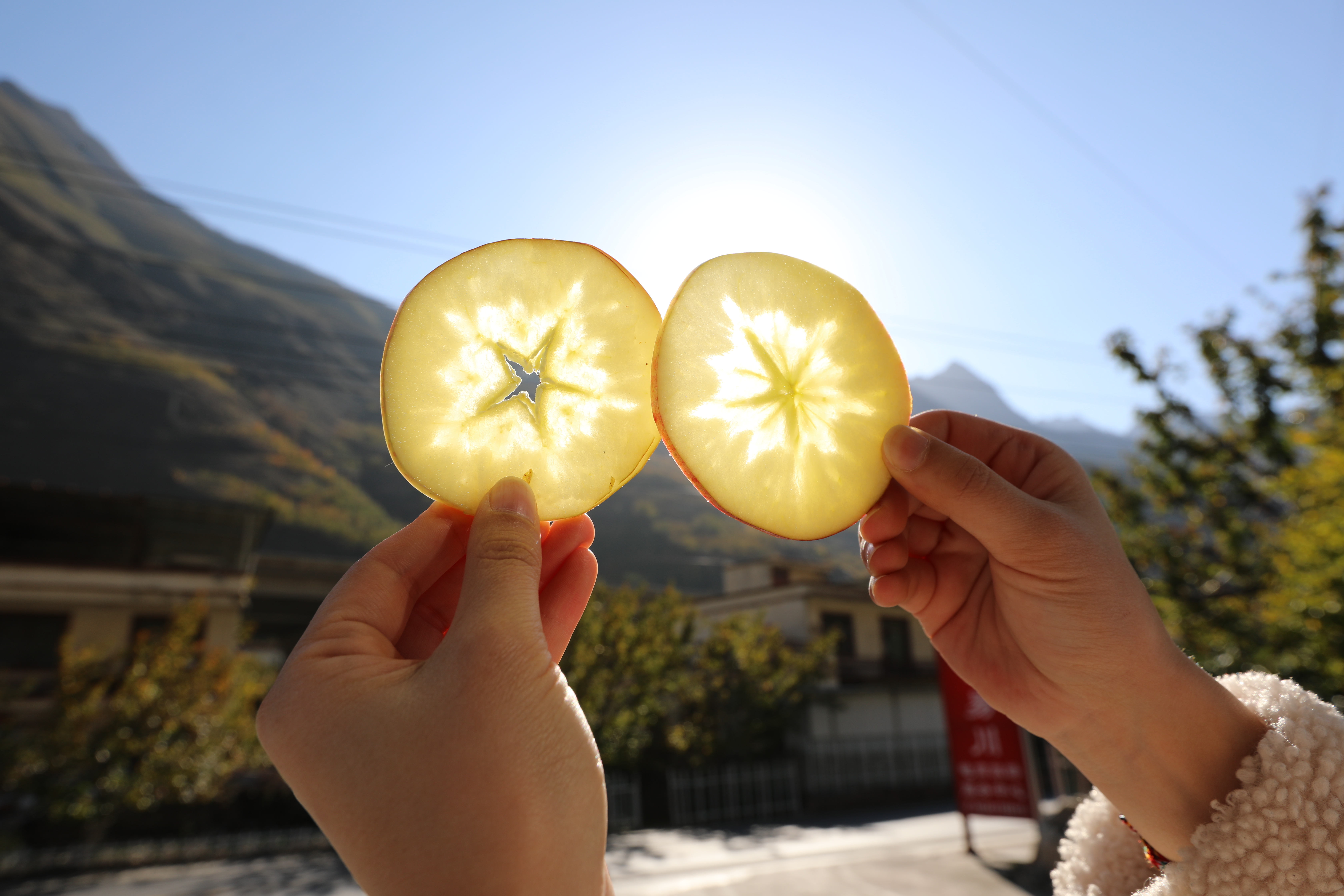 羌族妹子易川直播间,羌妹子易川