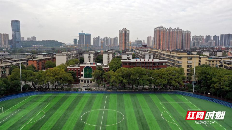 如何做好社区治理与小区管理,社区如何治理和发展