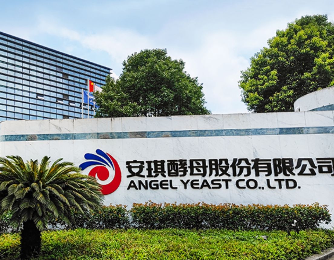 瀹呯粡娴庨噸濉戞柊钃濇捣,瀹呯粡娴庡彂灞曢潰涓寸殑鎸戞垬