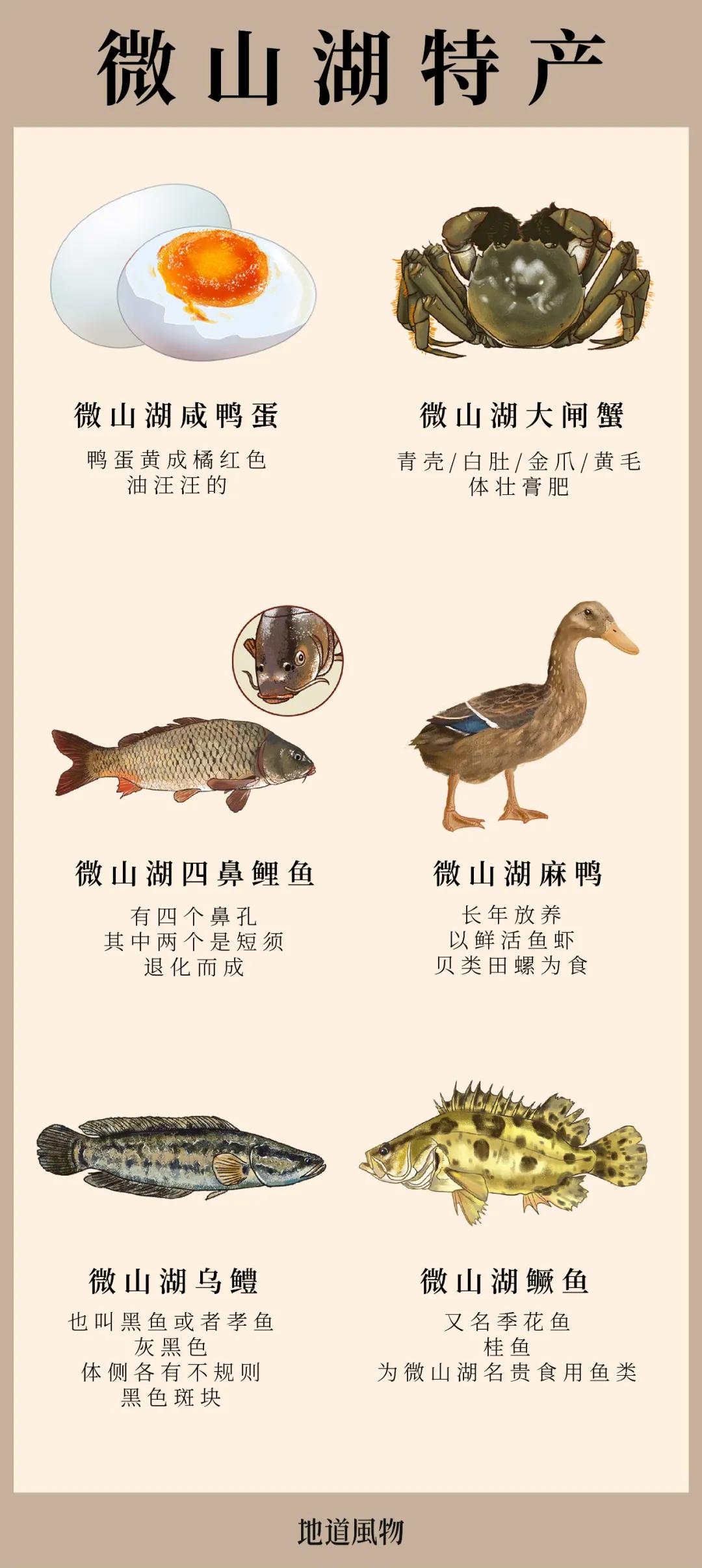 东拜孔子西上梁山,山东济宁曲阜拜孔子