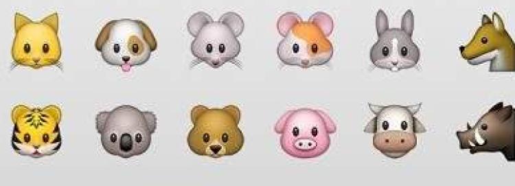 2021表情符号榜单公布！“笑哭”依旧稳居C位，“捏合”居然是喝奶茶？