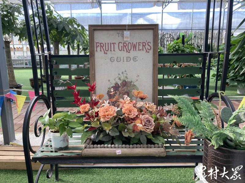 场景式展示+艺术化表达,6名大学生返乡创业打造乡村园艺馆