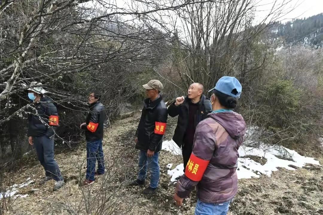 生态环境看哪里,生态看小米