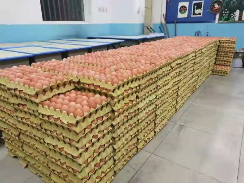 保供应西安在行动！截止28日中午12时西安市十五个区县已开始发放保供物资