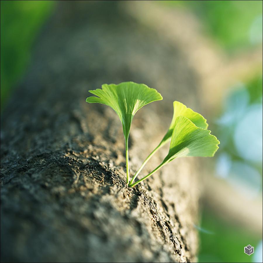 业内专家2024年楼市需求有待激发,专家称楼市恢复仍依赖购房者预期