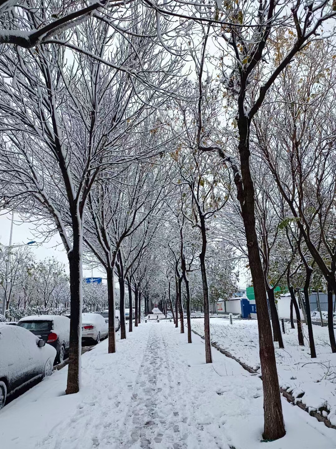 邓刚大师讲解调漂,新手立漂调漂的正确方法和技巧