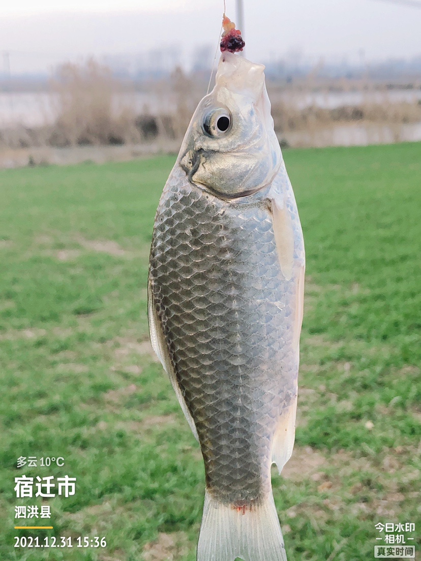 冰钓沉浸式体验,第一次体验冰钓视频