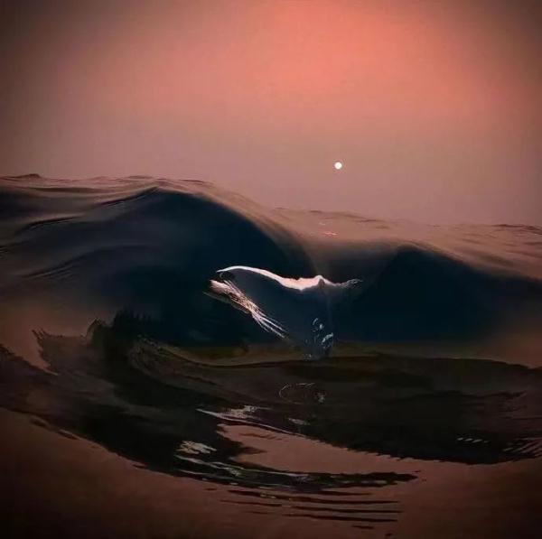 人生守恒定律读完瞬间清醒,人生守恒定律100条