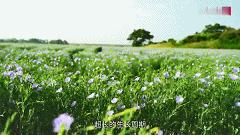 舌尖上的年货老字号,舌尖上的美食之备年货