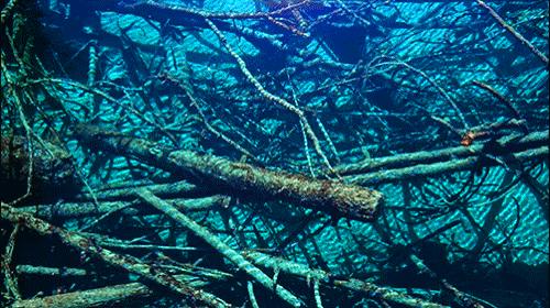 冬日梦幻童话九寨沟12月出发,九寨沟翠海蓝冰