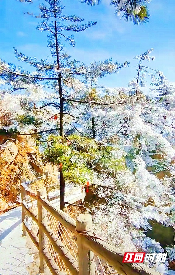 散文|翟非：诚者无欺