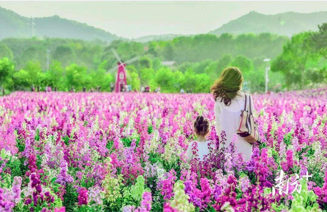 梅州向您发出邀请，赏花专列出发啦