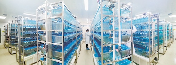 中科院水生所：神奇小鱼演绎生命奥秘