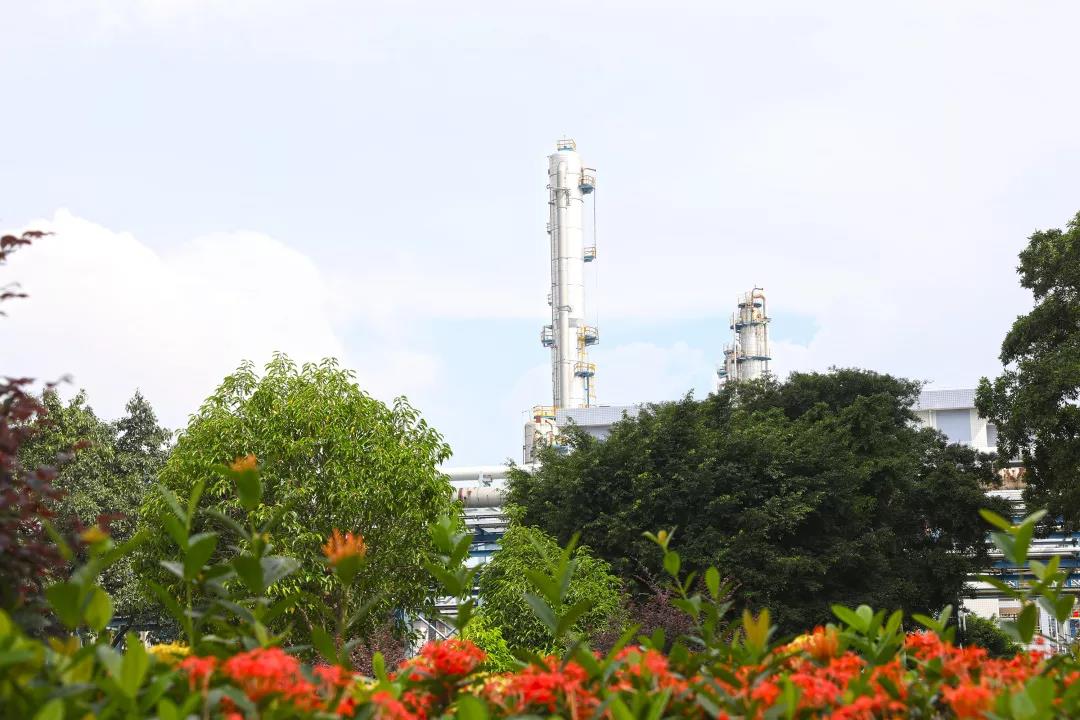 硬伤明显却能卖5万/㎡,它凭什么?