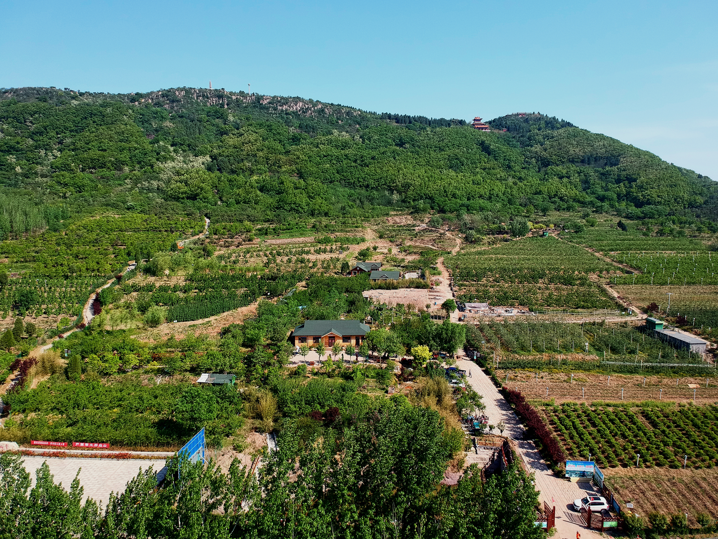 新实践新辉煌！诸城市各单位、龙头企业立目标定信心