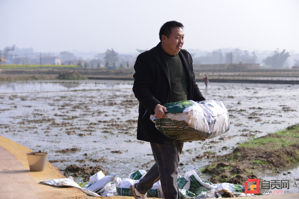 荣县种粮户郭长春备耕现场速写