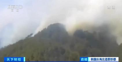 韩国山火是怎么回事,韩国森林火灾情况