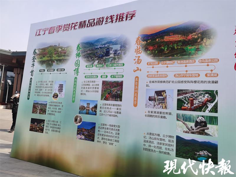 南京江宁周边赏花一日游免费,4月赏花踏青南京江宁