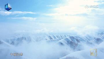 滴！跟着CCTV的镜头打卡*疆新**之春