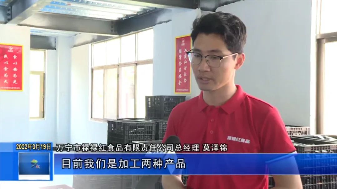 打造村级特色产业集群,因地制宜实现乡村产业兴旺