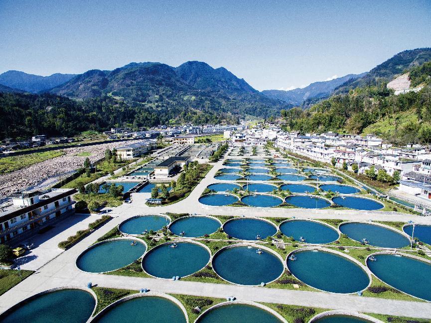 农商银行引金融活水浇灌,农商银行金融活水产业扶贫