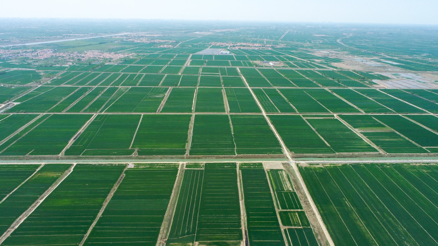 新华财经报道|看滨州中裕如何“向疫而行”实现民族担当