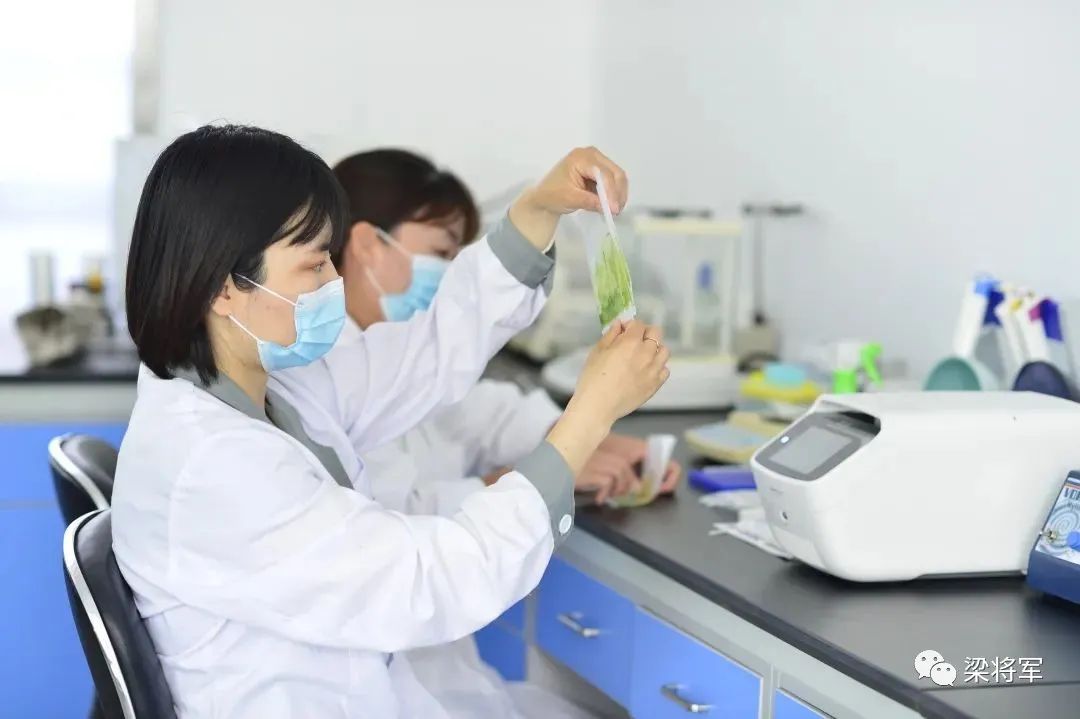 卢文兵用投资者思维创业,卢文兵创业经历