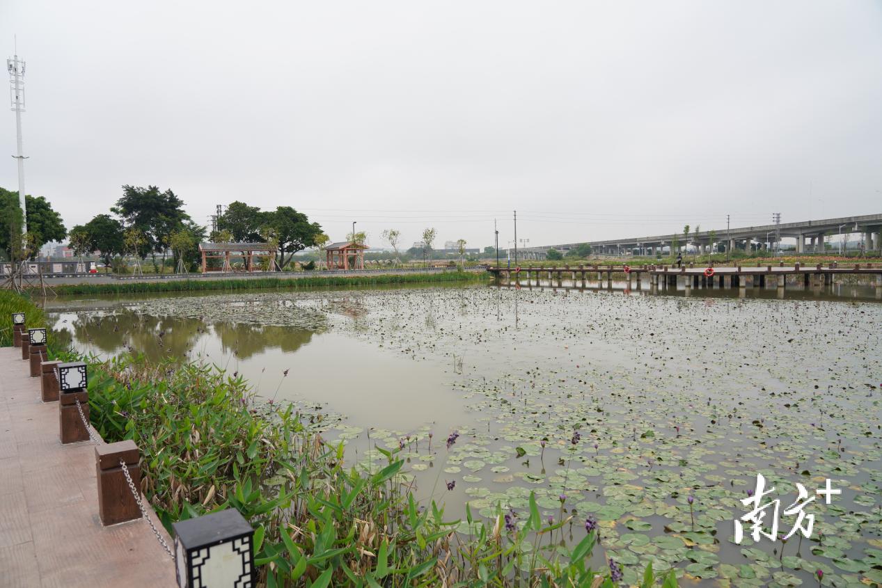 中山南朗街道最新消息 (南朗街道的规划)