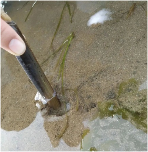 长海县旅游攻略海滩,长海县海岛赶海地点推荐